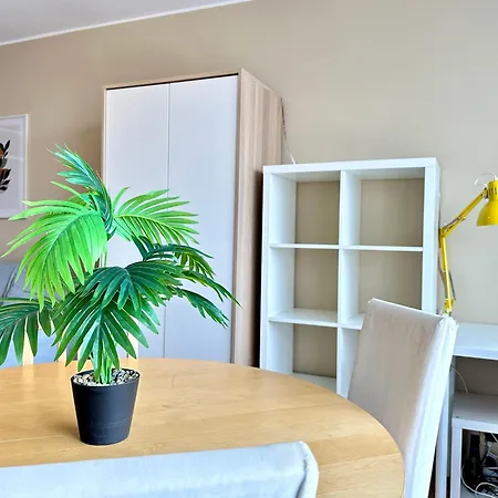 Apartamento Zwykle Mieszkanie Ale Przy Plazy